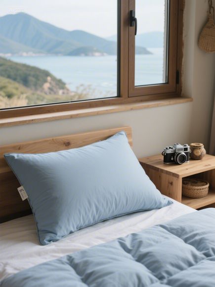 tle:Exploring the World of Customized Neck Pillow Makers in Shenzhen